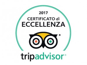 2017 COE Logos white bkg translations it IT 300x224 - certificato di eccellenza tripadvisor 2017